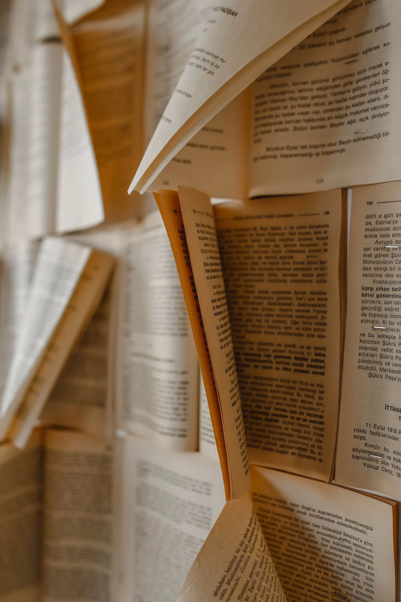 Carefully typeset scholarly book proofs and print-on-demand bindings